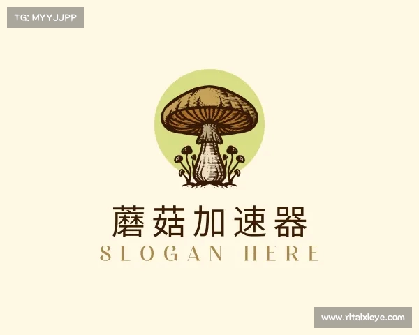 发现蘑菇加速器